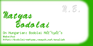 matyas bodolai business card